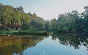 Sappraiwan Elephant Resort & Sanctuary